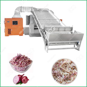 onion dehydration machinery