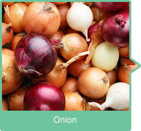 Onion-onion