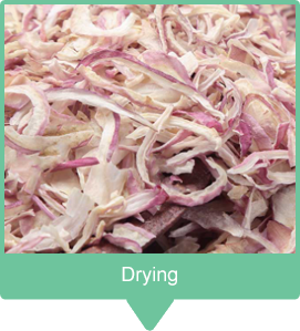 onion drying