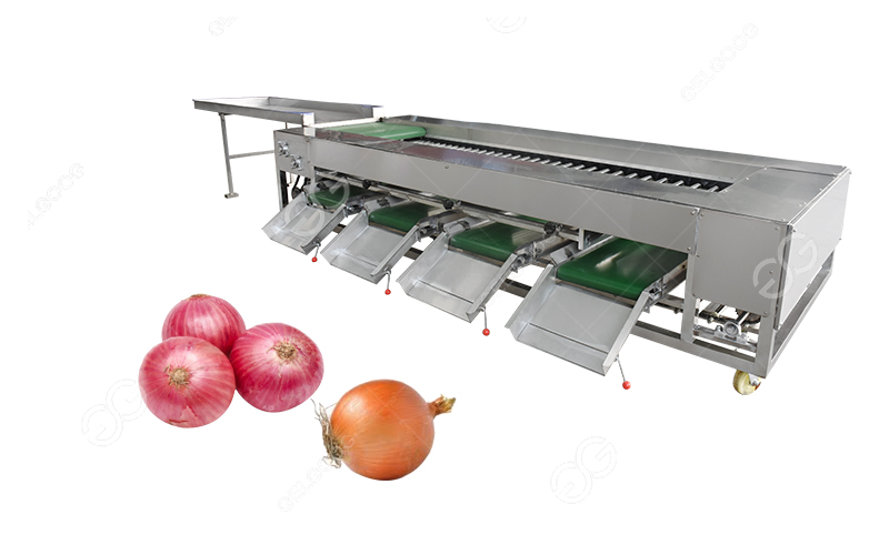 onion sorting machine