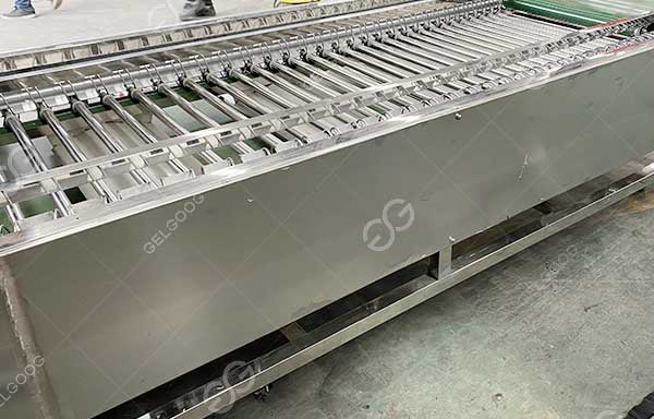 fabricant de machines à trier les oignons