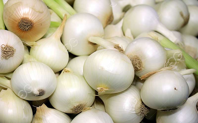 peeled onion